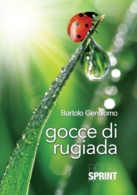 Gocce di rugiada