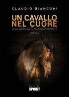 Un cavallo nel cuore